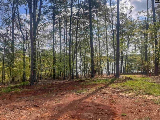 193 Lands End Drive, Prosperity, SC 29127