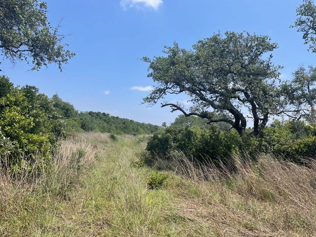 2402 Hwy 361, Ingleside, TX 78362 — photo 3