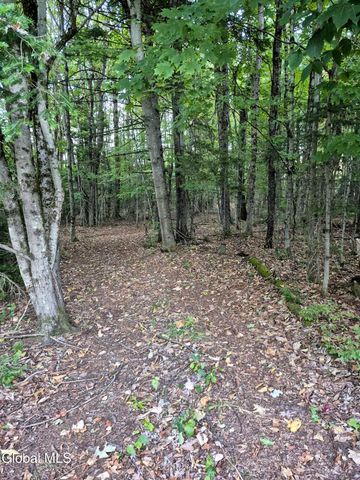 2567 State Highway 10, Caroga, NY 12095