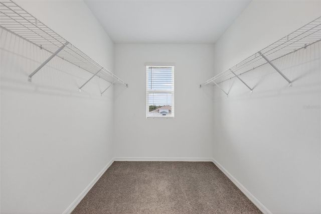 3842 SUNNY SPRING STREET, Plant City, FL 33565