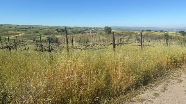 10011 Tesla Road, Livermore, CA 94550