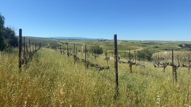 10011 Tesla Road, Livermore, CA 94550