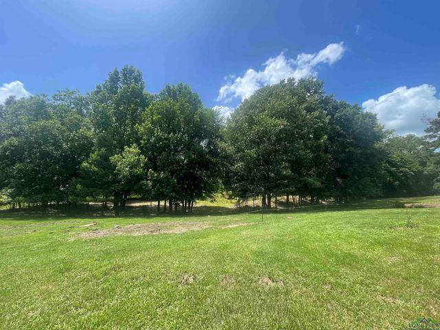 10757 E CR 366, Henderson, TX 75654