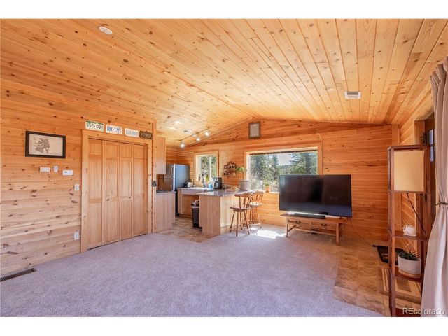 246 Hayes St, Bailey, CO 80421