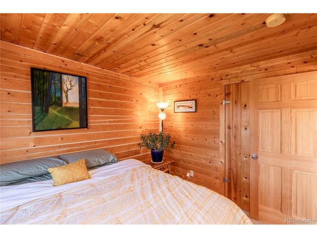 246 Hayes St, Bailey, CO 80421
