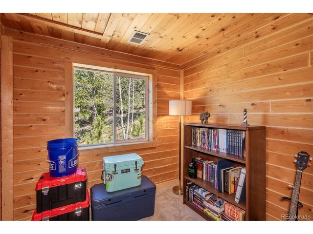 246 Hayes St, Bailey, CO 80421