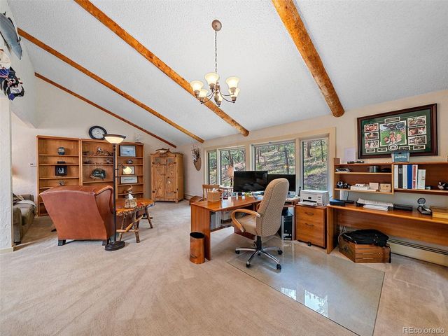 34393 Upper Bear Creek Rd, Evergreen, CO 80439