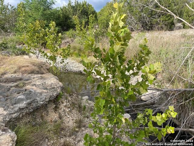 326 Rocky Creek Rd, Medina, TX 78055
