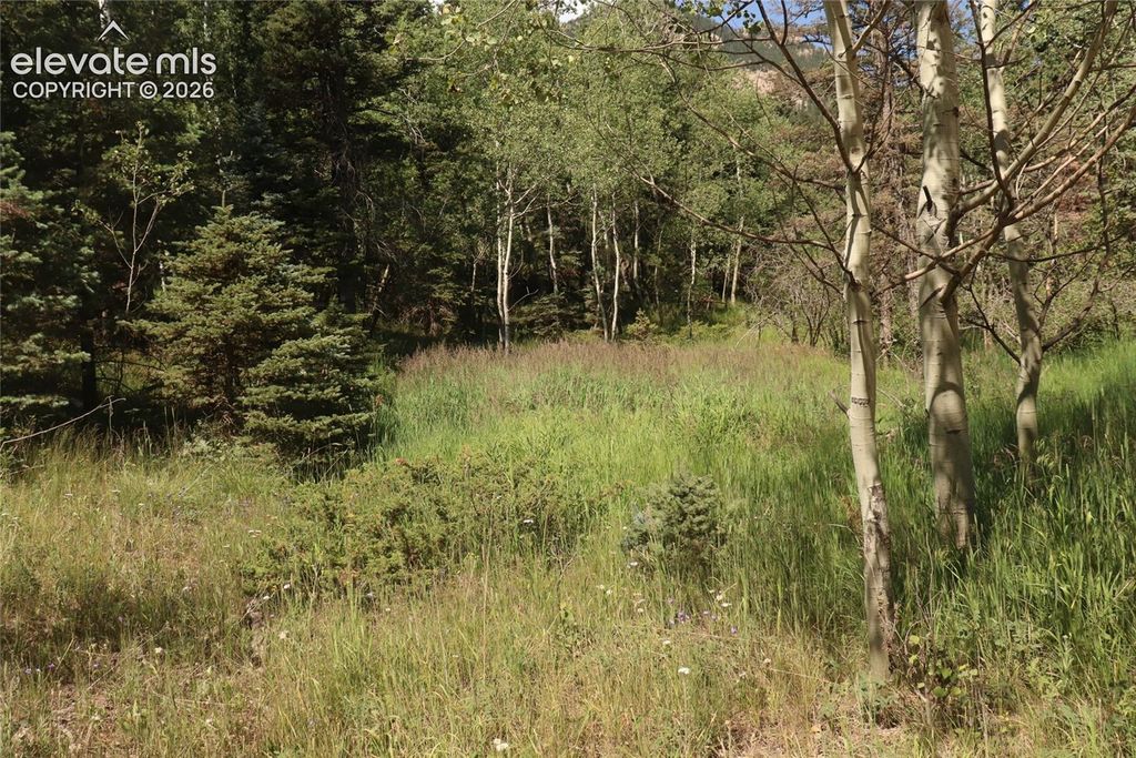 286 Coffee Road, Manitou Springs, CO 80829 — exterior