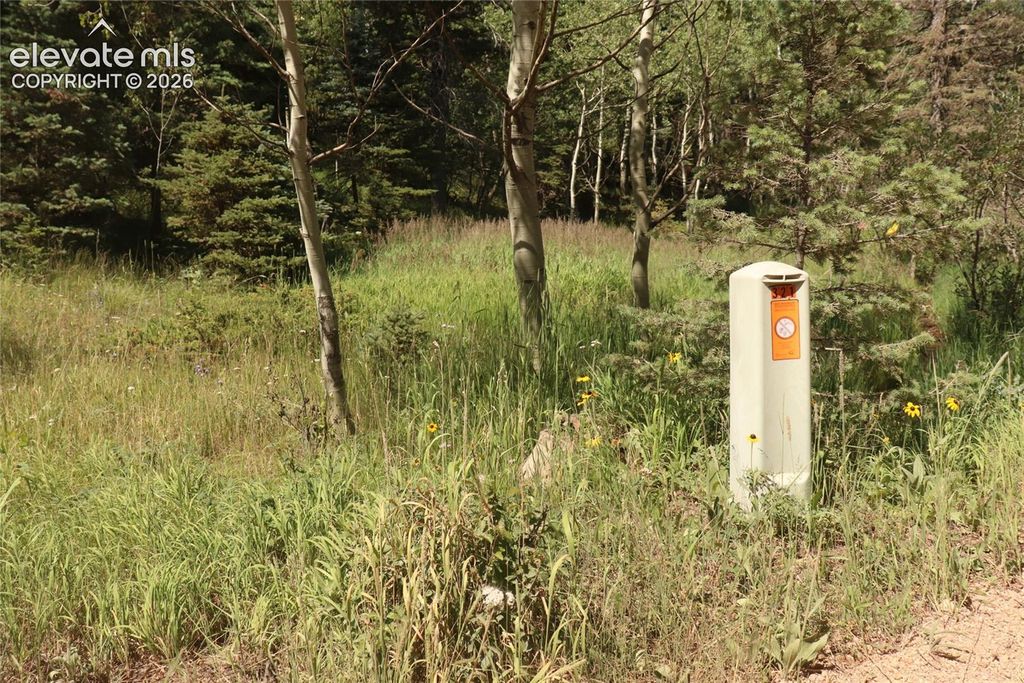 286 Coffee Road, Manitou Springs, CO 80829 — photo 2
