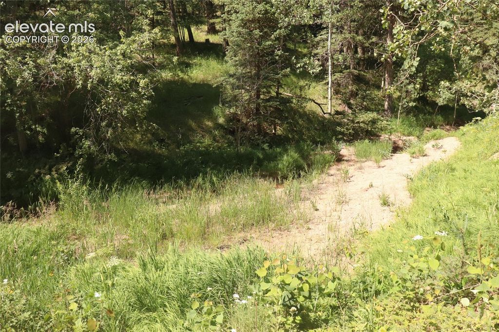 286 Coffee Road, Manitou Springs, CO 80829 — photo 3