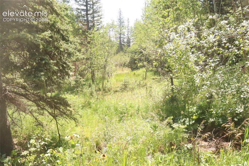286 Coffee Road, Manitou Springs, CO 80829 — photo 4