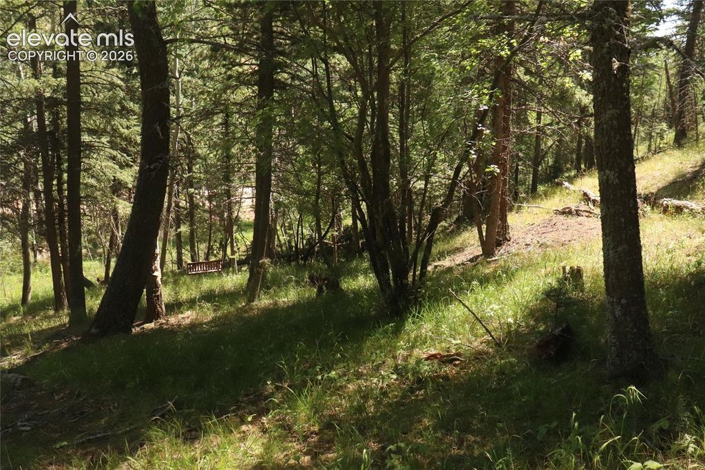286 Coffee Road, Manitou Springs, CO 80829 — photo 5
