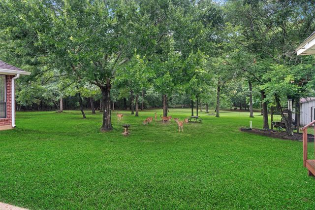 9322 Sendera Drive, Magnolia, TX 77354