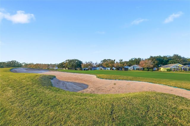 6025 SPRING CREEK COURT, Mount Dora, FL 32757