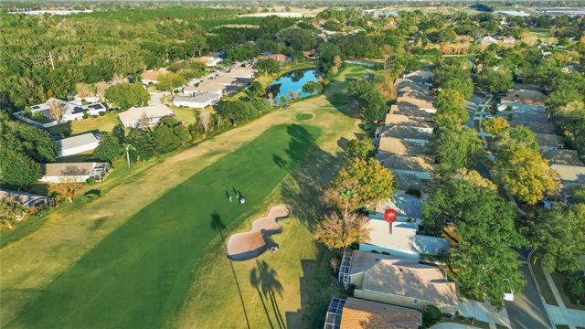 6025 SPRING CREEK COURT, Mount Dora, FL 32757