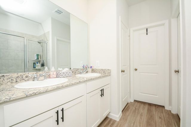 16843 Bristle Cone Way, Conroe, TX 77302