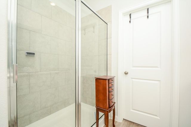 16843 Bristle Cone Way, Conroe, TX 77302