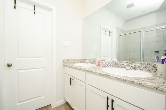 16843 Bristle Cone Way, Conroe, TX 77302