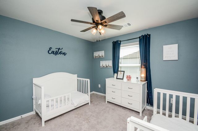 16843 Bristle Cone Way, Conroe, TX 77302