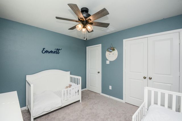 16843 Bristle Cone Way, Conroe, TX 77302