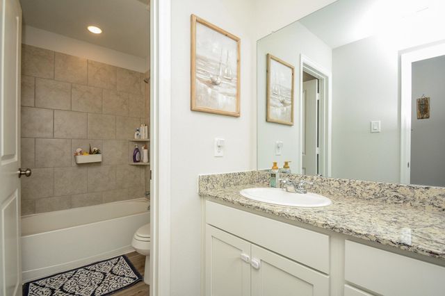 16843 Bristle Cone Way, Conroe, TX 77302