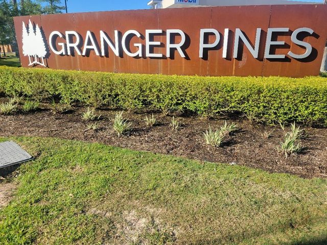 16843 Bristle Cone Way, Conroe, TX 77302