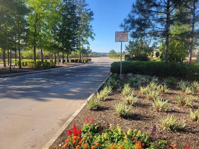 16843 Bristle Cone Way, Conroe, TX 77302