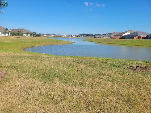 16843 Bristle Cone Way, Conroe, TX 77302