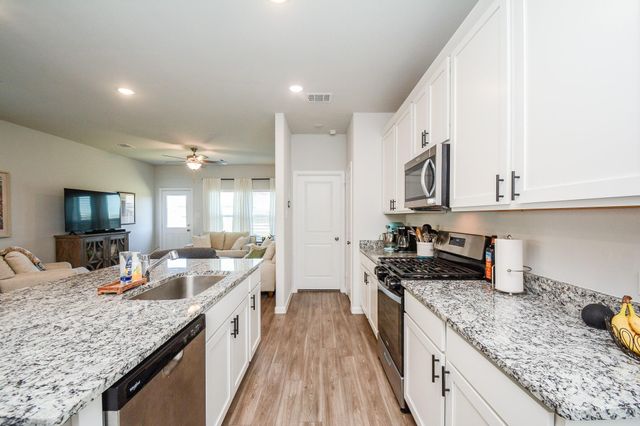 16843 Bristle Cone Way, Conroe, TX 77302