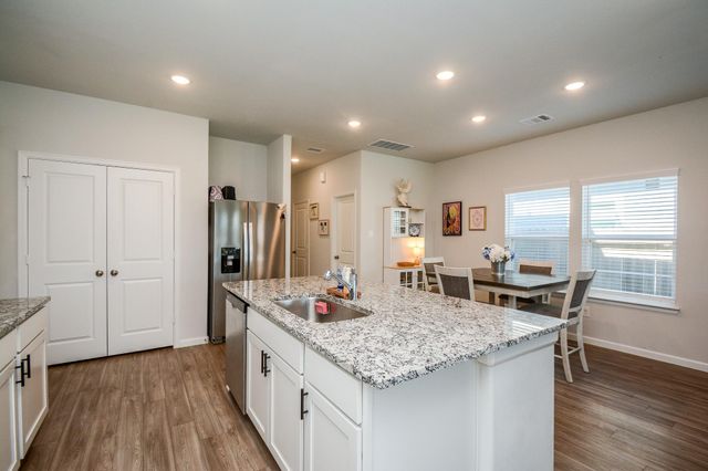 16843 Bristle Cone Way, Conroe, TX 77302