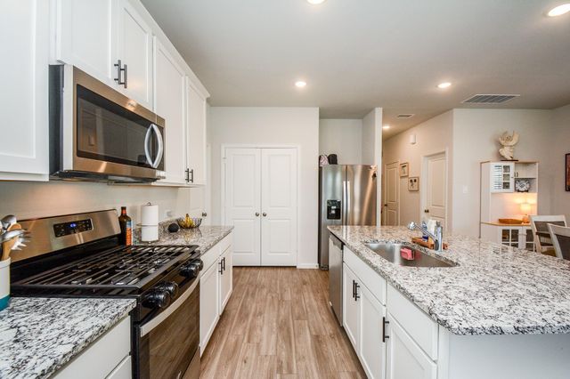 16843 Bristle Cone Way, Conroe, TX 77302