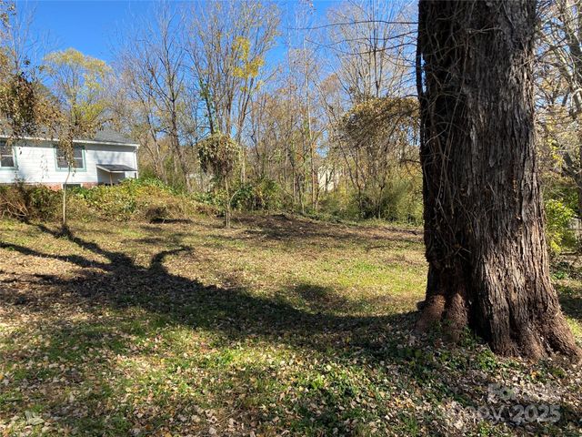 24 Ridge Avenue, Asheville, NC 28803