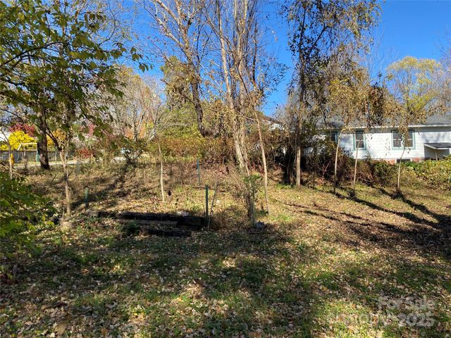 24 Ridge Avenue, Asheville, NC 28803