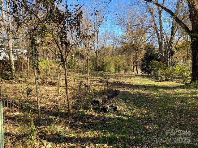 24 Ridge Avenue, Asheville, NC 28803