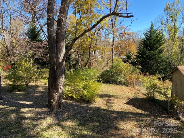 24 Ridge Avenue, Asheville, NC 28803