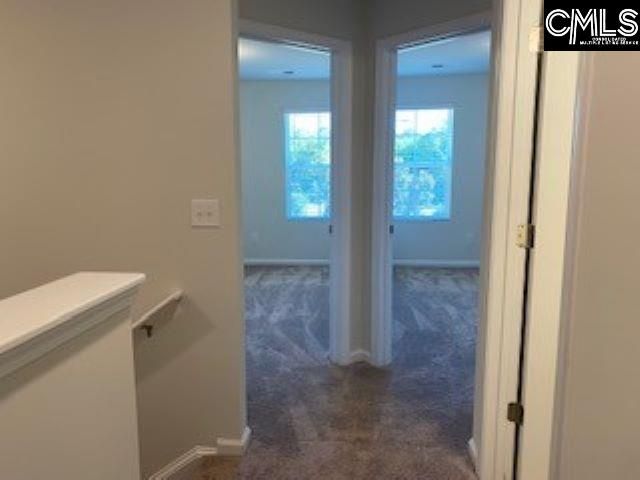 1166 Ederbach Drive, Lexington, SC 29073