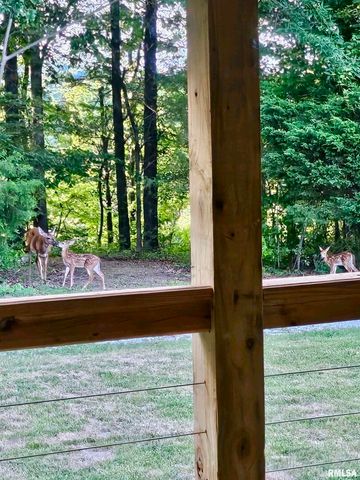 5504 MARION Road, Metropolis, IL 62960