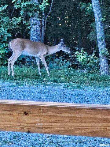 5504 MARION Road, Metropolis, IL 62960