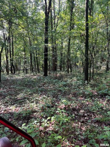 5504 MARION Road, Metropolis, IL 62960