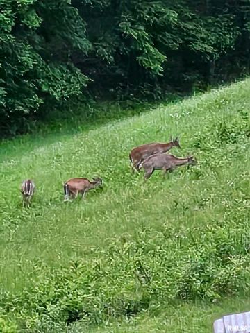 5504 MARION Road, Metropolis, IL 62960