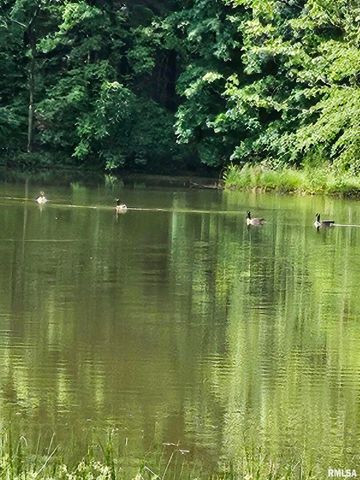 5504 MARION Road, Metropolis, IL 62960