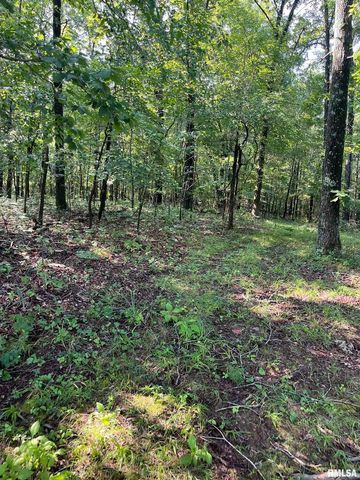 5504 MARION Road, Metropolis, IL 62960