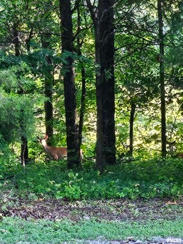 5504 MARION Road, Metropolis, IL 62960