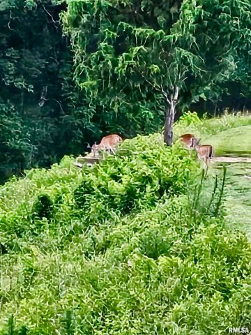 5504 MARION Road, Metropolis, IL 62960