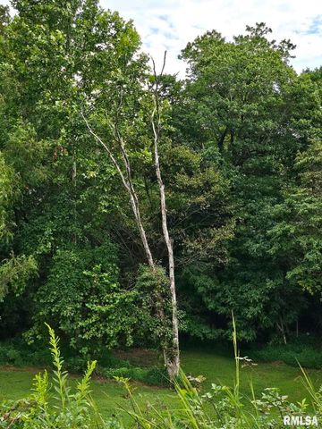 5504 MARION Road, Metropolis, IL 62960