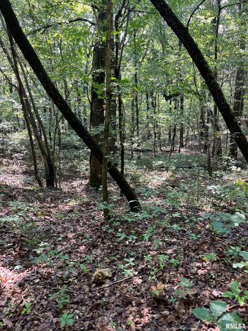 5504 MARION Road, Metropolis, IL 62960