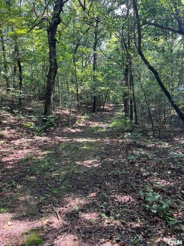 5504 MARION Road, Metropolis, IL 62960