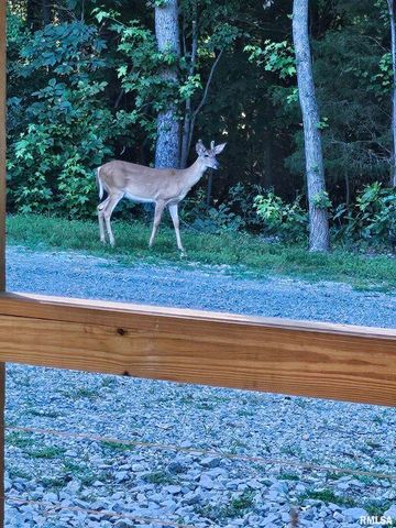 5504 MARION Road, Metropolis, IL 62960