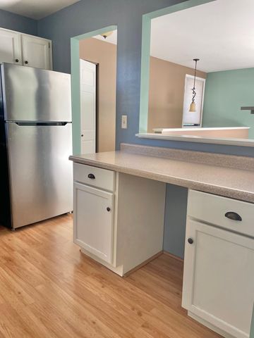 1125 Woodlake Lane 1, Richfield, MN 55423